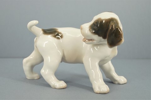 Bing & Grøndahl; Porcelæns figur, pointer hundehvalp #2026