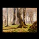 A. E. Kieldrup; Forest scenery, oil on canvas